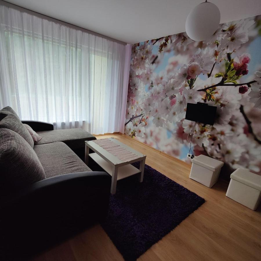 Dainai Apartament Siauliai  Luaran gambar